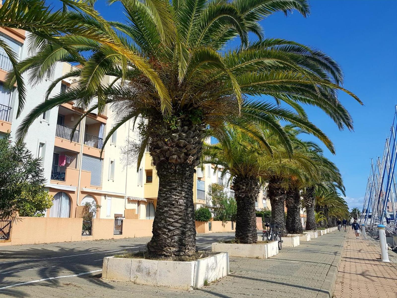 T2 Sur Le Port Avec Parking Gruissan Exterior foto